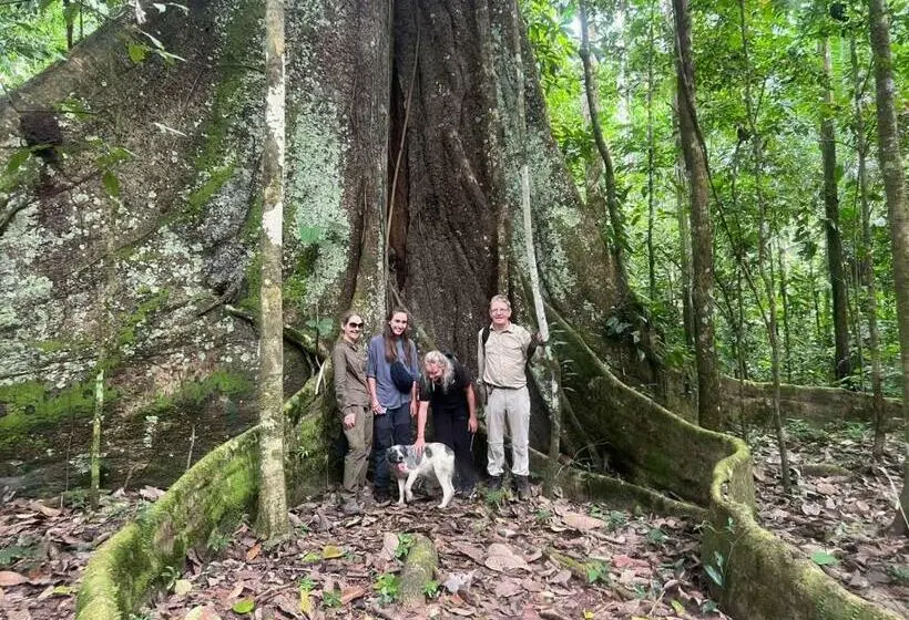 スタンダードトリプルルーム, Tambopata Edosikiana Lodge