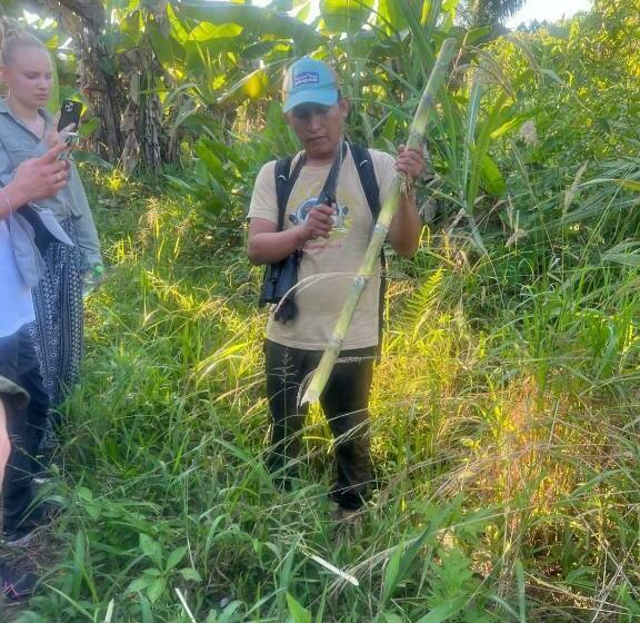 اتاق استاندارد سه نفره, Tambopata Edosikiana Lodge