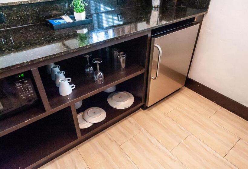 Standard Stúdió Szoba, Lincoln Arms Suites