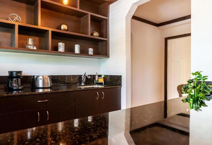 Standard Stúdió Szoba, Lincoln Arms Suites