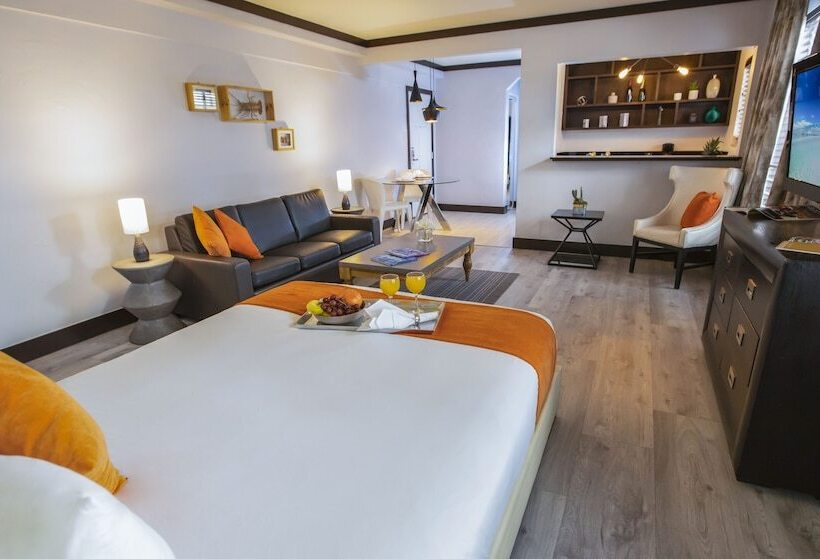 Standard Stúdió Szoba, Lincoln Arms Suites