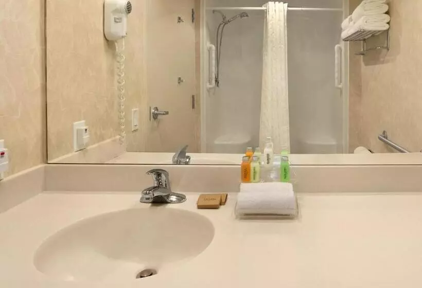 身障者適用スタンダードルーム, Travelodge By Wyndham Spruce Grove