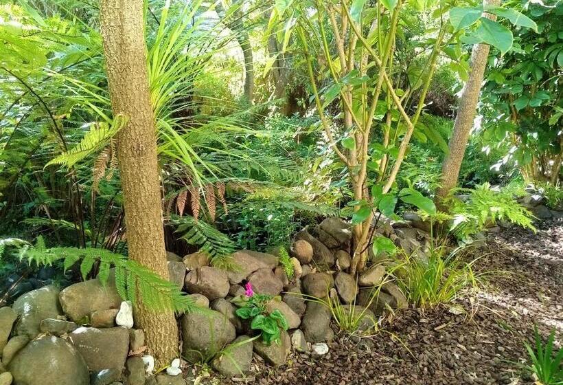 חדר סטנדרט עם מיטת קינג, La Rochelle Motel