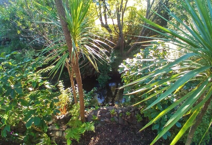 סטודיו סטנדרט מיטה זוגית, La Rochelle Motel