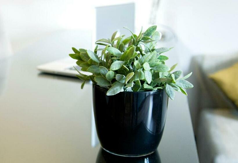 سوییت جونیور, Quentin Boutique Hotel