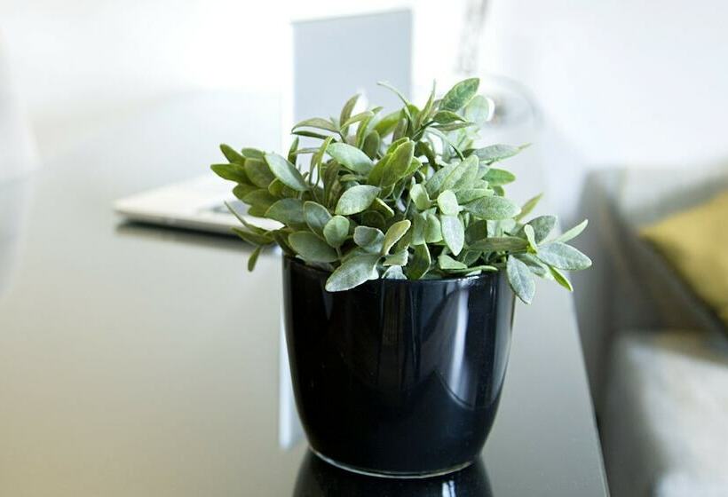 سوییت جونیور, Quentin Boutique Hotel