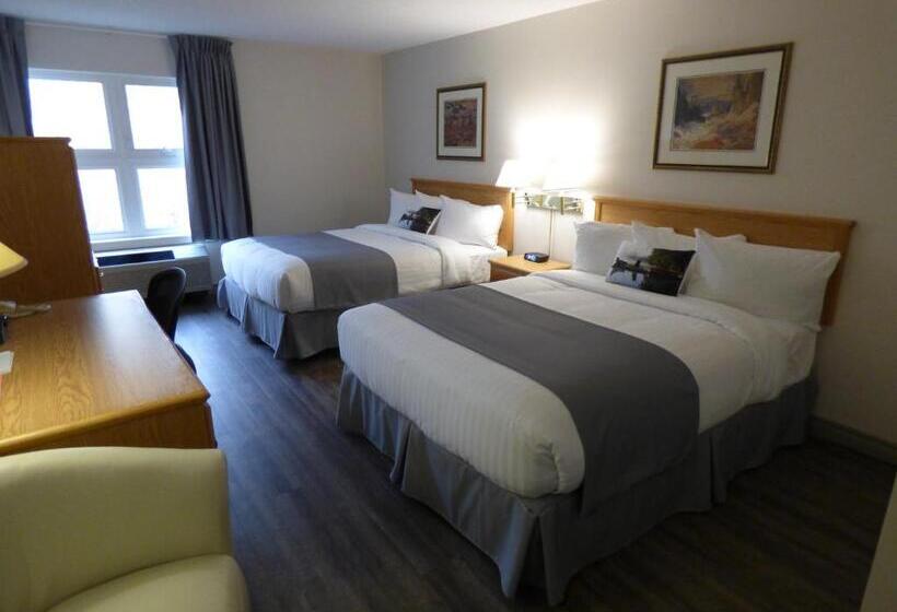 Номер Комфорт, Chateau Logue