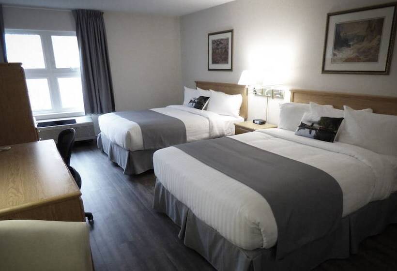 Номер Комфорт, Chateau Logue