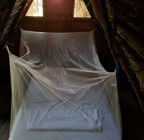 Quarto Estandar, Maria Mulata Palomino