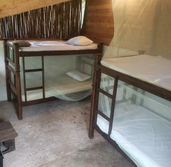 Cama em Quarto Compartilhado, Maria Mulata Palomino