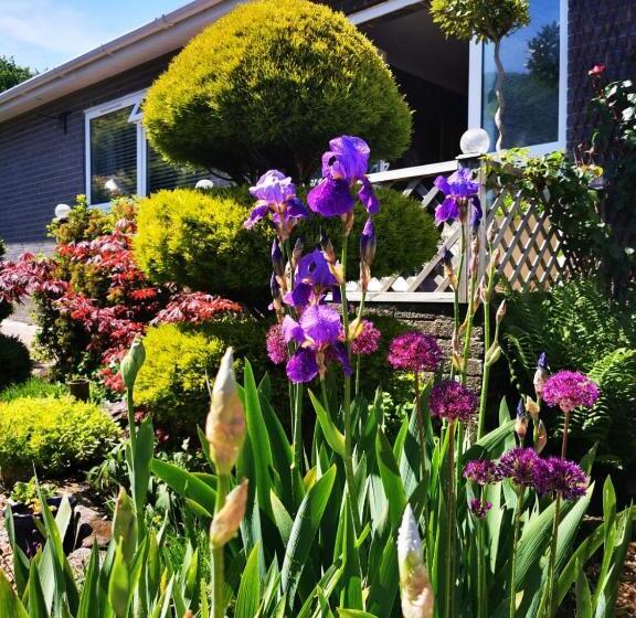 اتاق استاندارد با چشم‌انداز باغ, Down The Garden Path Vintage Caravan B&b , Dartmoor