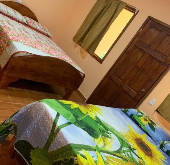 اتاق استاندارد چهار تخته, Ceiba Lodge