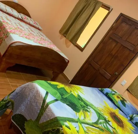 スタンダード4人部屋, Ceiba Lodge