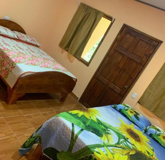 اتاق استاندارد چهار تخته, Ceiba Lodge