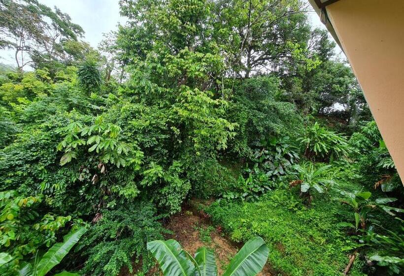 اتاق استاندارد چهار تخته, Ceiba Lodge