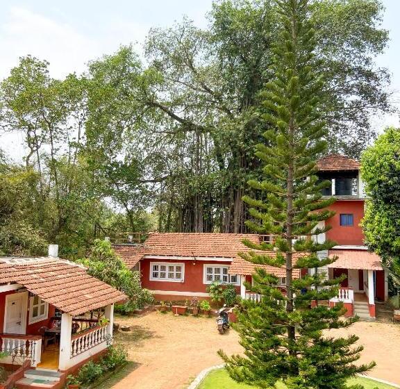 带阳台的豪华间, Nomadgao Vila Nova   Comfort, Great Views, Fast Wifi & Interesting People
