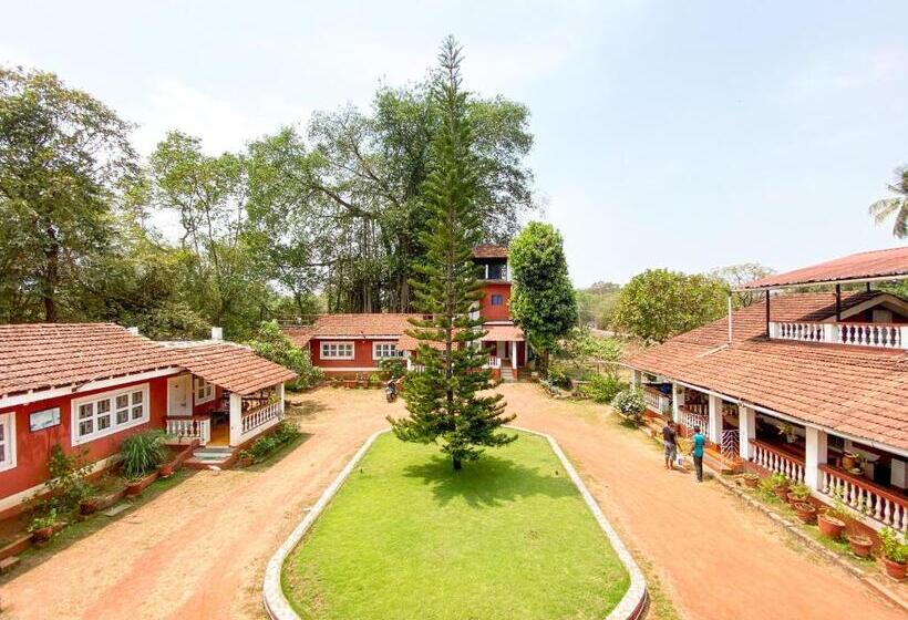 발코니 디럭스 룸, Nomadgao Vila Nova Comfort, Great Views, Fast Wifi & Interesting People