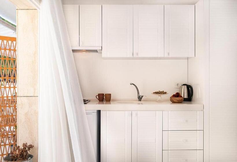 带露台的套间, Yasos Suites