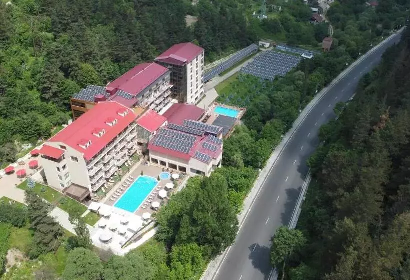 اتاق سوپریور با تخت بزرگ, Best Western Plus Paradise Hotel Dilijan