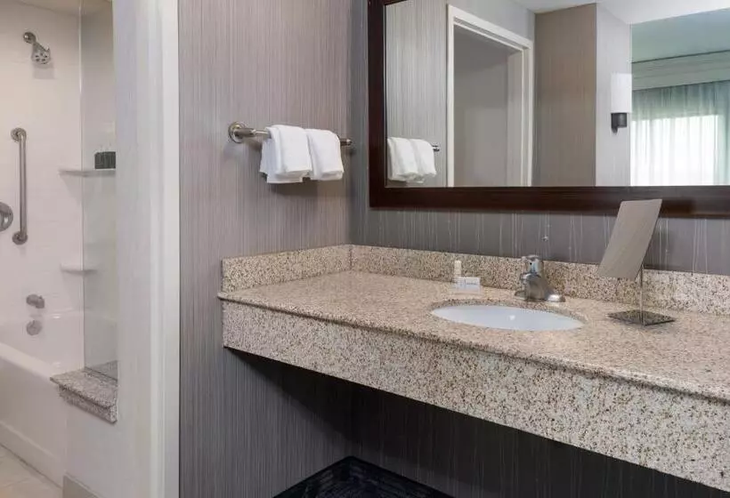 キングサイズベッドのスイートルーム, Courtyard By Marriott Buffalo Airport