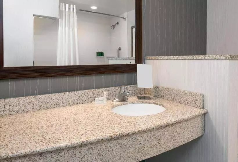 キングサイズベッドのスタンダードルーム, Courtyard By Marriott Buffalo Airport