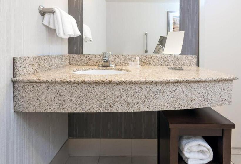 Номер Стандарт Адаптированный для Инвалидов, Courtyard By Marriott Buffalo Airport