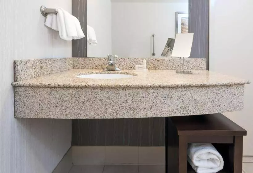 身障者適用スタンダードルーム, Courtyard By Marriott Buffalo Airport