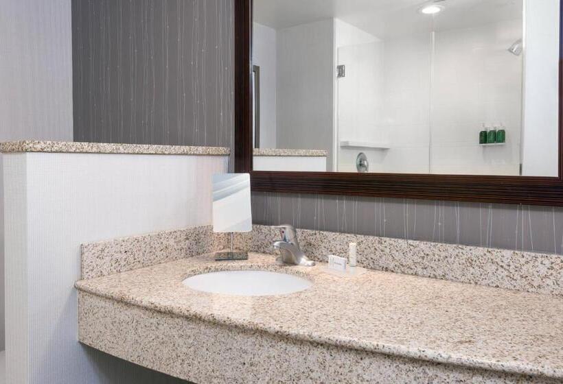 Номер Стандарт Адаптированный для Инвалидов, Courtyard By Marriott Buffalo Airport