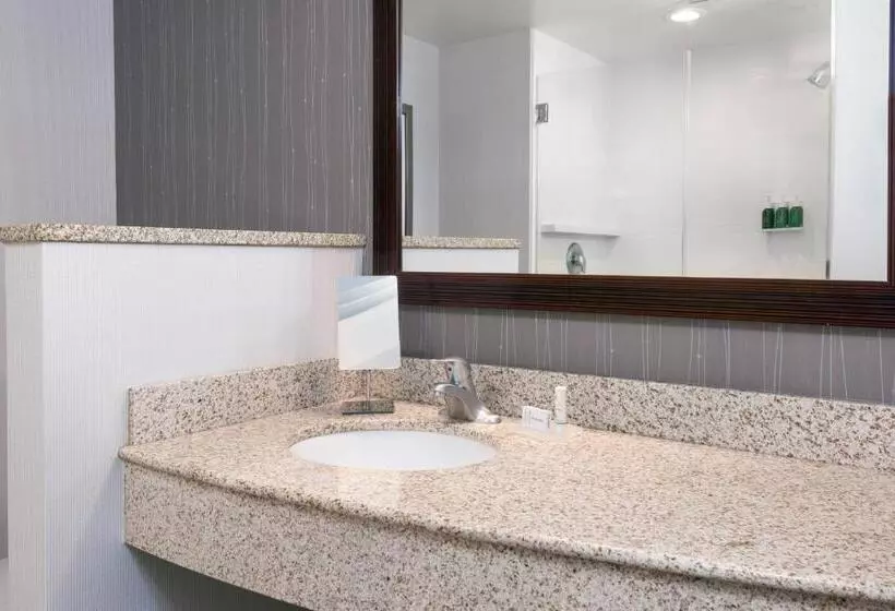 身障者適用スタンダードルーム, Courtyard By Marriott Buffalo Airport