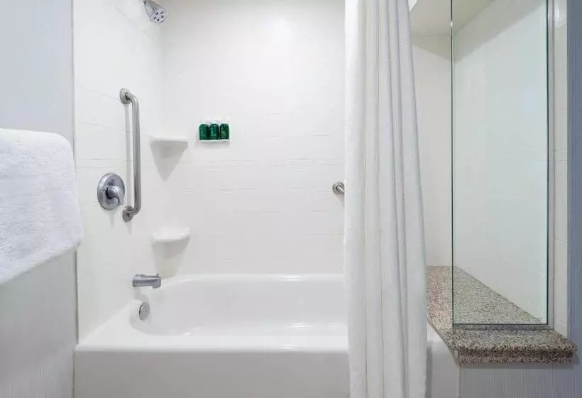 身障者適用スタンダードルーム, Courtyard By Marriott Buffalo Airport