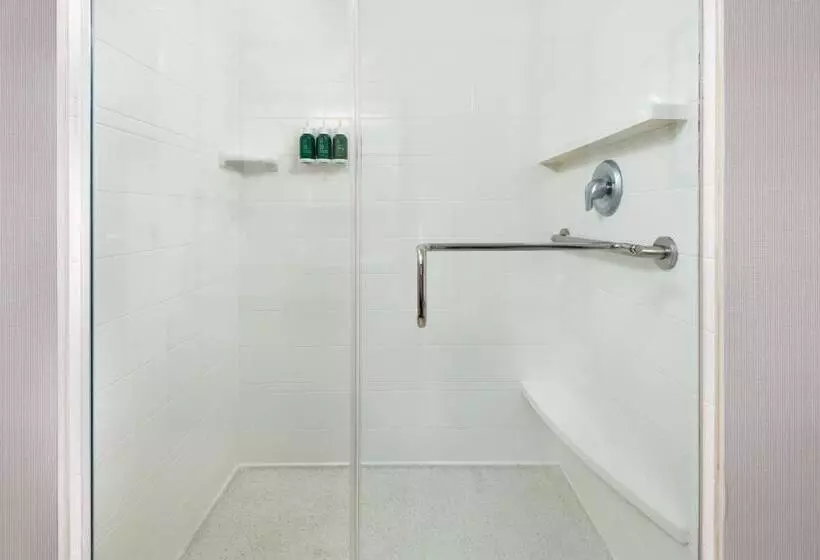 身障者適用スタンダードルーム, Courtyard By Marriott Buffalo Airport