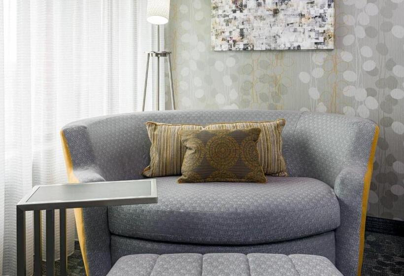 اتاق استاندارد برای معلولان, Courtyard By Marriott Buffalo Airport