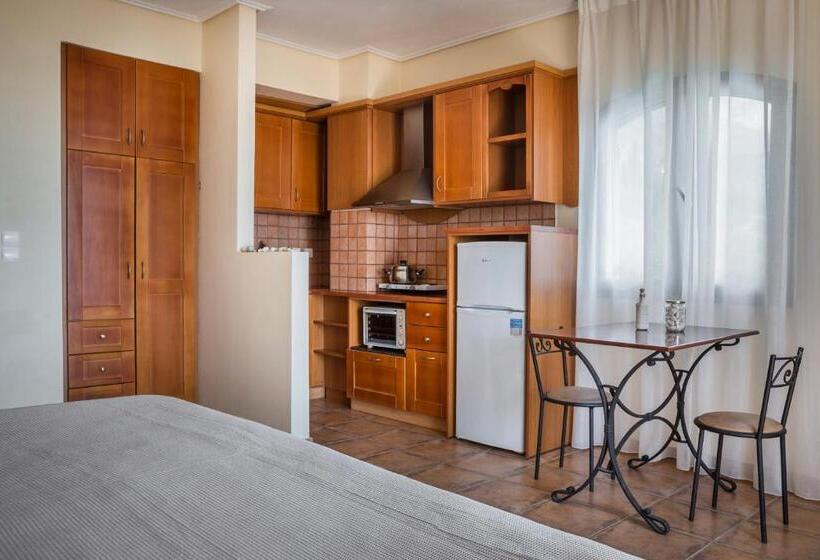 带观景的标准工作室, Diana Studios