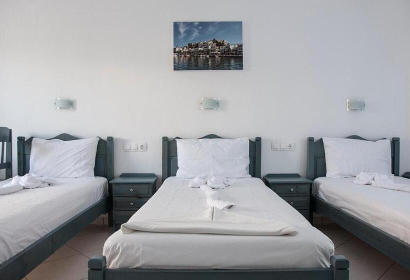 Трехместный Номер Стандарт Вид на Бассейн, Ikaros Studios & Apartments