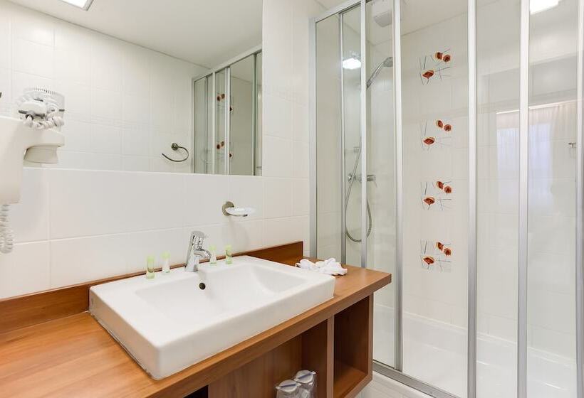 标准单人间, Janosik