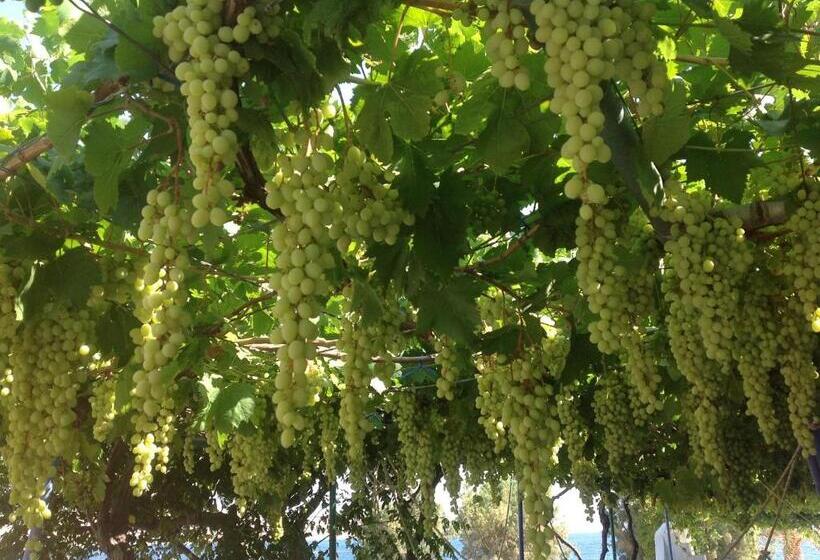 ガーデンビュースタンダードルーム, Petras Beach