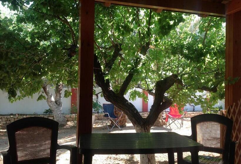 ガーデンビュースタンダードルーム, Petras Beach