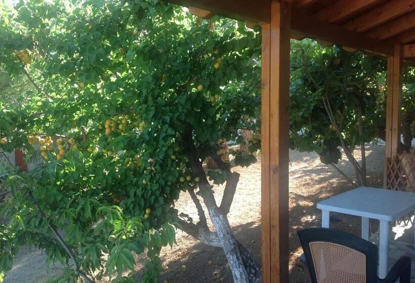 庭の見えるスタンダードトリプルルーム, Petras Beach