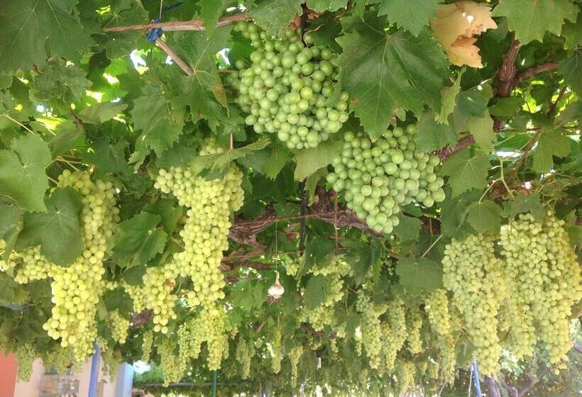 庭の見えるスタンダードトリプルルーム, Petras Beach