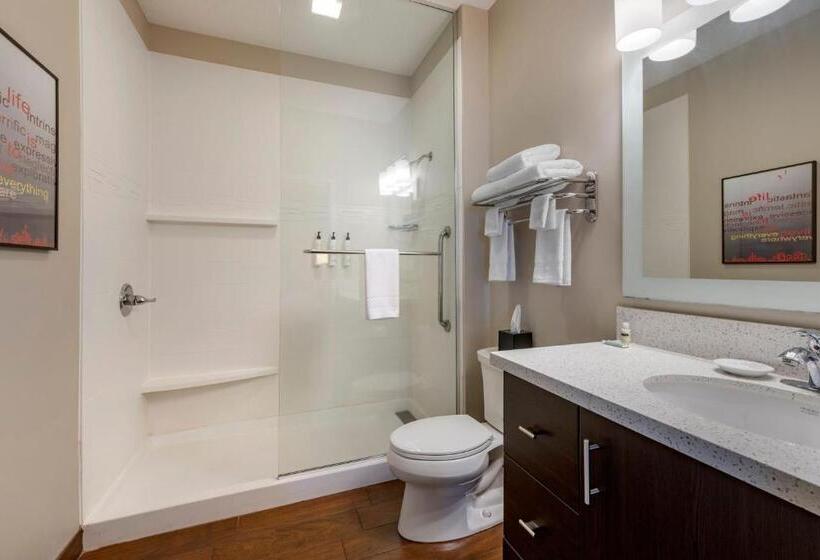 إستوديو قياسى سرير كينج, Towneplace Suites By Marriott Vincennes