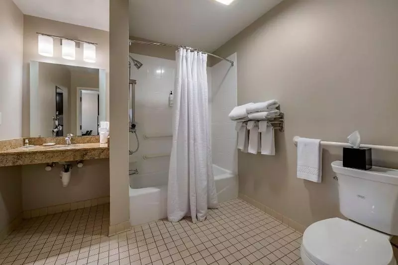 キングサイドベッドのスタンダードワンルーム, Towneplace Suites By Marriott Vincennes