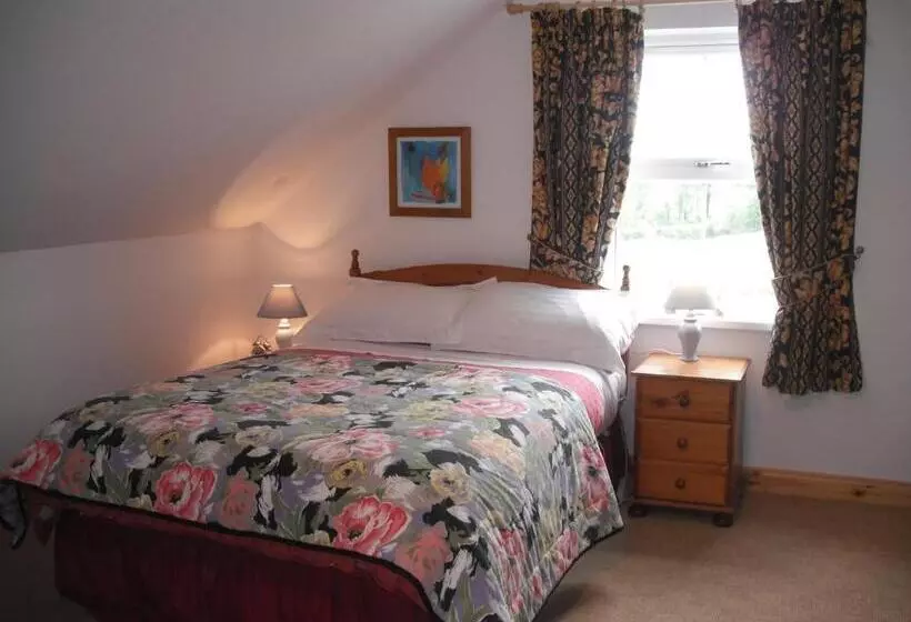 スタンダードルーム, Killyliss Country House B&b