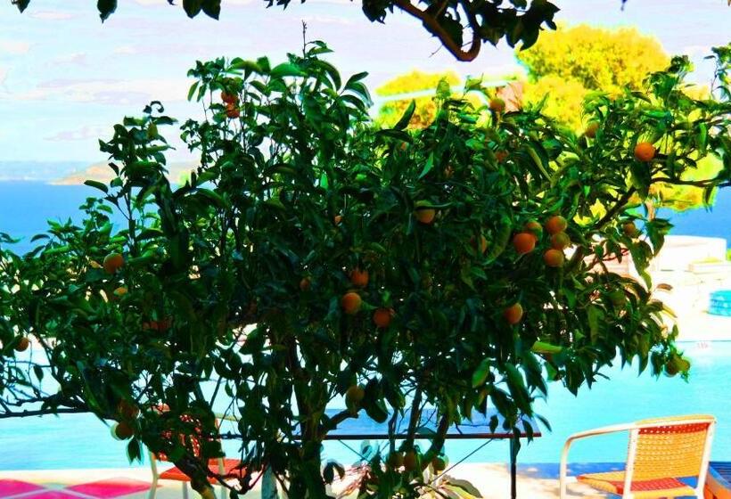 Вилла с 1 спальней и бассейном, Villa Agnanti Boutique