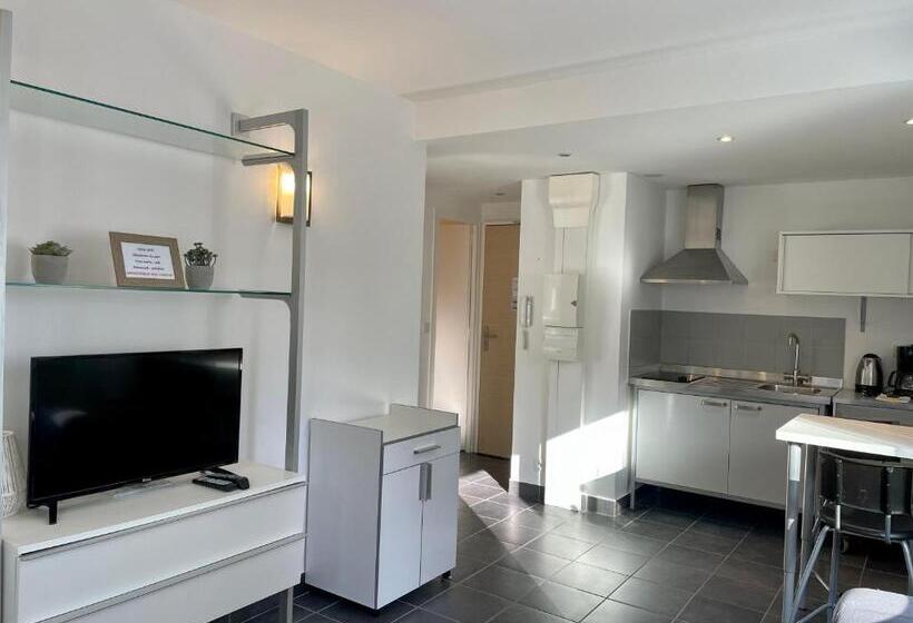 低层单卧公寓, Camp De Base Sur Le Lac Du Bourget