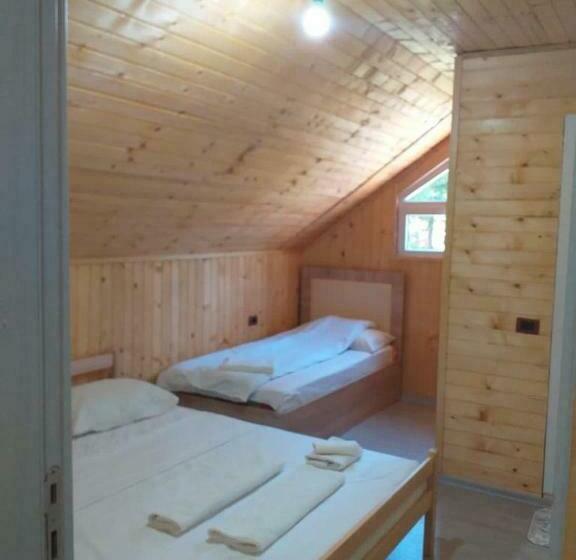 스탠다드 룸, Bujtina Arlindi