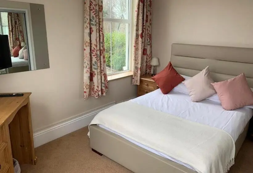 Chambre Standard, Dolphin