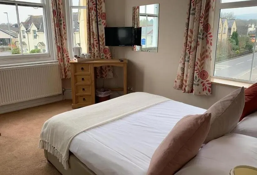 Chambre Standard, Dolphin