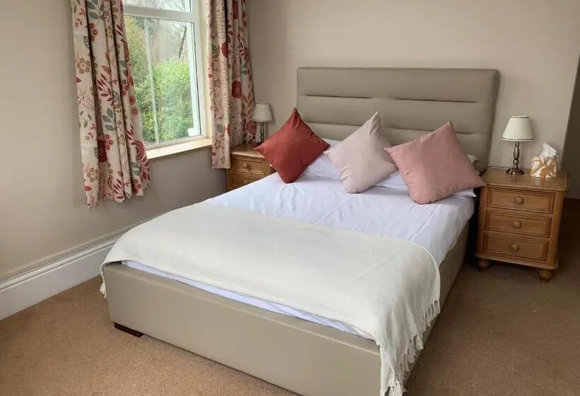 Chambre Standard, Dolphin