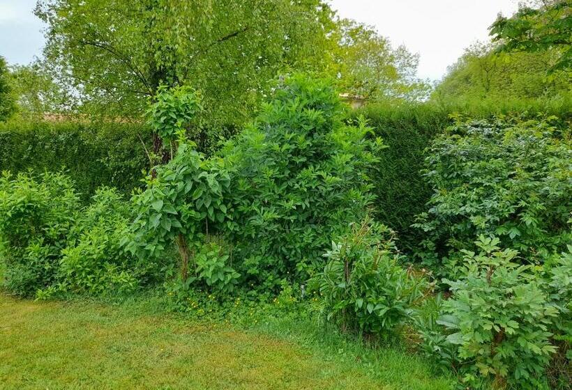 스탠다드 테라스 룸, A L Orée Du Cèdre