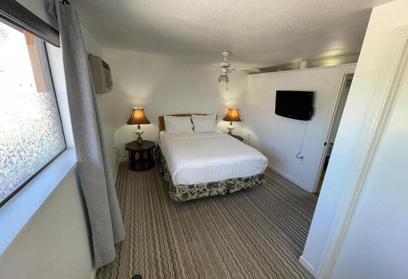 주니어 스위트, The Aztec Motel & Creative Space